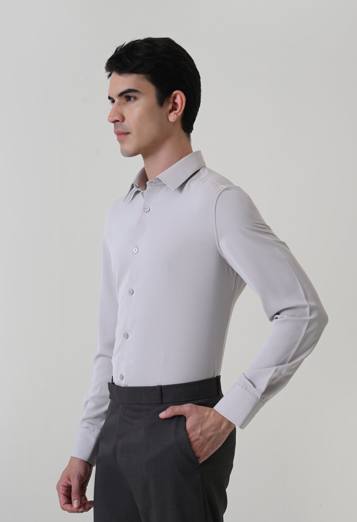 Wrinkle Free Shirt - Silver